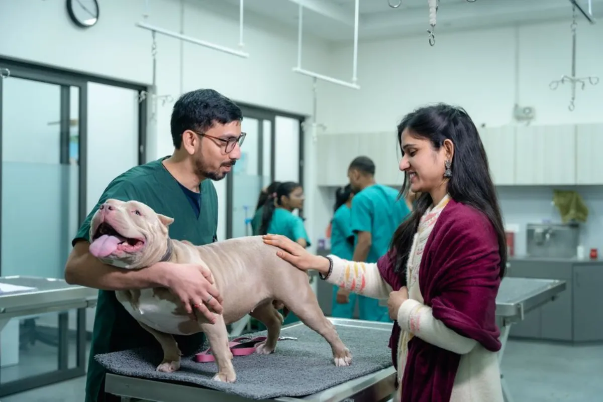 dog checkup